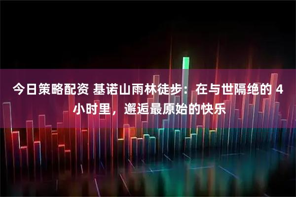 今日策略配资 基诺山雨林徒步：在与世隔绝的 4 小时里，邂逅最原始的快乐