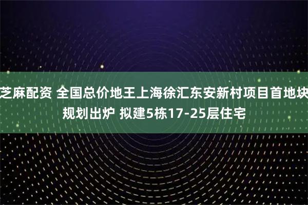芝麻配资 全国总价地王上海徐汇东安新村项目首地块规划出炉 拟建5栋17-25层住宅